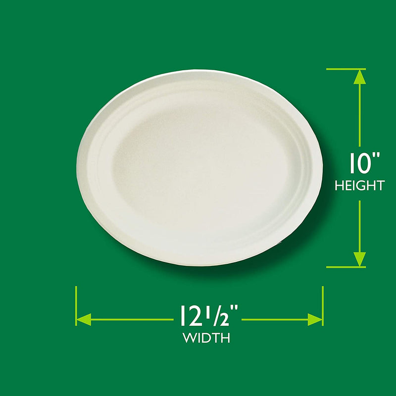 Hefty EcoSave Compostable Paper Plates, Large Oval Platter, 10 CT - Trustables