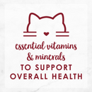 Purina Fancy Feast Medleys Shredded Wild Salmon Fare With Garden Greens in a Savory Broth Adult Wet Cat Food, 3 OZ - Trustables