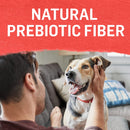 Purina Beyond Grain Free Beef, Potato & Green Bean Recipe Ground Entree Adult Wet Dog Food, 13 OZ - Trustables