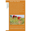 Traditional Medicinals Organic Ginger Aid Digestive Tea, 16 Tea Bags