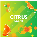 Scrubbing Bubbles Flat Pack Wipes, 36 CT - Trustables