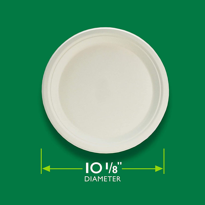 Hefty EcoSave 10-1/8" Compostable Plates, 16 CT - Trustables