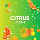 Fantastik Kitchen Cleaner Mini Concentrates, 2 CT - Trustables