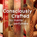 Glade PlugIns Refills Apple Cinnamon 1.34 FL OZ, 2 CT - Trustables