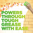 Fantastik Kitchen Cleaner Mini Concentrates, 2 CT - Trustables