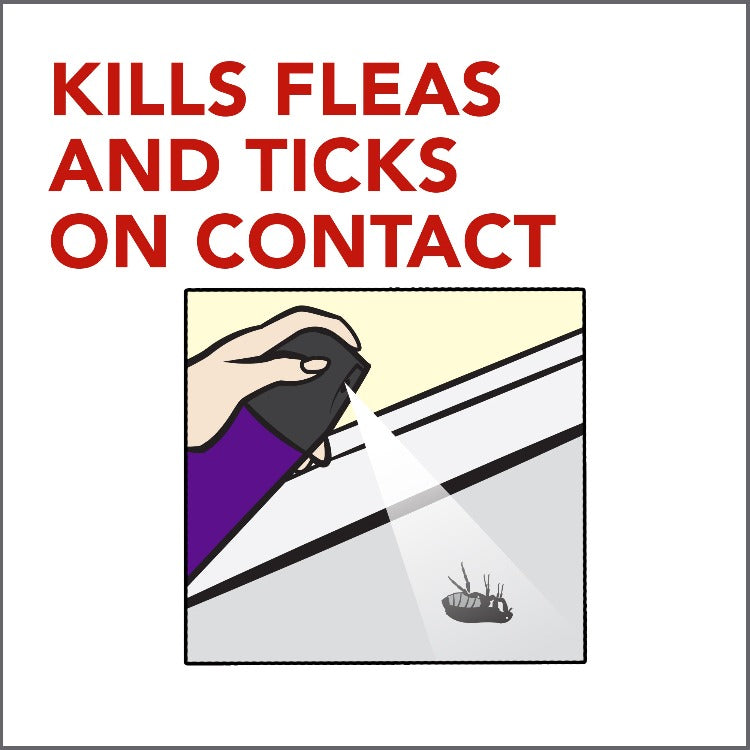 Spray that kills fleas and ticks on contact, kill fleas on contact, kill ticks on contact, the best flea sprays, what is the best flea spray