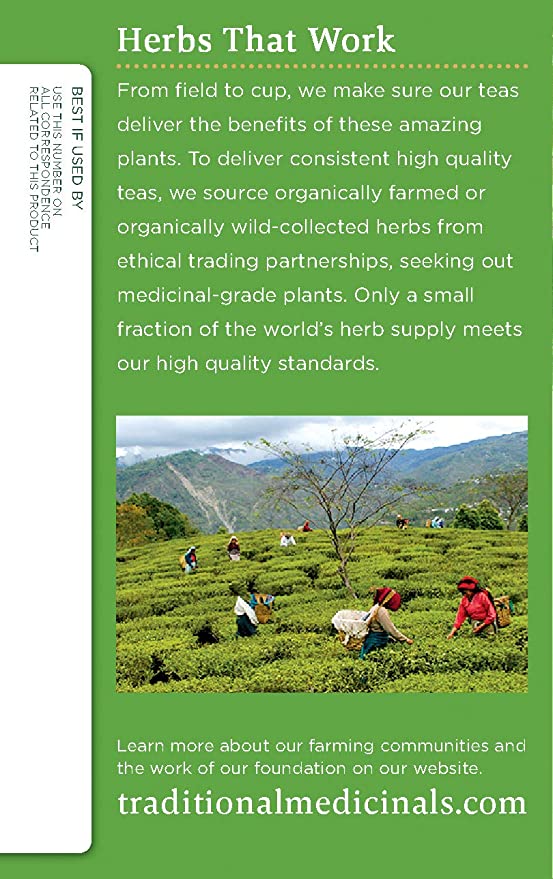 Traditional Medicinals Organic Green Tea Ginger Tea, 16 Tea Bags