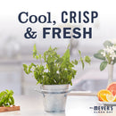 Mrs. Meyer's Clean Day Liquid Dish Soap Bottle, Mint Scent, 16 fl oz - Trustables