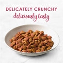 Purina Fancy Feast Filet Mignon Flavor With Real Seafood & Shrimp Dry Cat Food, 16 OZ - Trustables