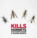 Raid Wasp & Hornet Killer 33, 14 oz - Trustables