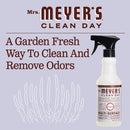Mrs. Meyer's Clean Day Multi-Surface Everyday Cleaner Bottle, Lavender Scent, 16 fl oz - Trustables