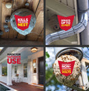 Raid Wasp & Hornet Killer 33, 14 oz - Trustables