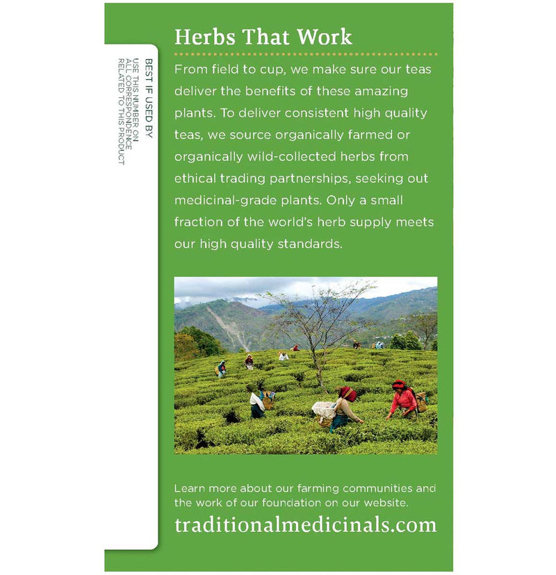 Traditional Medicinals Organic Green Tea Matcha, 16 CT - Trustables
