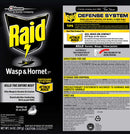 Raid Wasp & Hornet Killer 33, 14 oz - Trustables