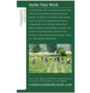 Traditional Medicinals Organic Raspberry Leaf Herbal Tea, 16 Tea Bags - Trustables