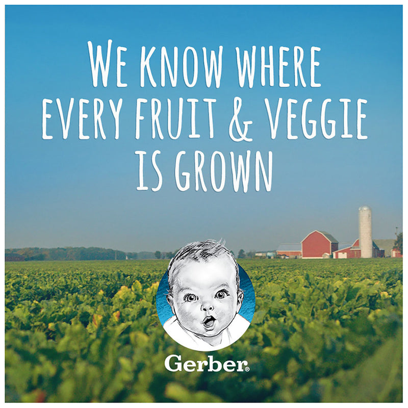 Gerber 1st Foods, Pear, 4 OZ - Trustables
