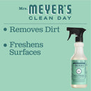 Mrs. Meyer's Clean Day Multi-Surface Everyday Cleaner Bottle, Mint Scent, 16 fl oz - Trustables