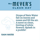 Mrs. Meyer's Clean Day Liquid Hand Soap Bottle, RainWater Scent, 12.5 fl oz - Trustables