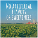 Gerber Yogurt Melts, Strawberry, 1 OZ - Trustables