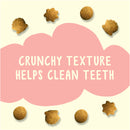 Friskies Party Mix Natural Yums With Real Salmon Cat Treats, 2.1 OZ - Trustables