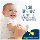 Gerber My 1st Fruits Starter Kit Banana, Pear & Apple, 12 OZ