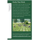 Traditional Medicinals Organic Peppermint Herbal Leaf Tea, 16 Tea Bags - Trustables