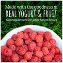 Gerber Yogurt Melts Variety Pack, 1 Peach, 1 Mixed Berry, 1 Strawberry, 1 Banana Vanilla, 4 CT - Trustables