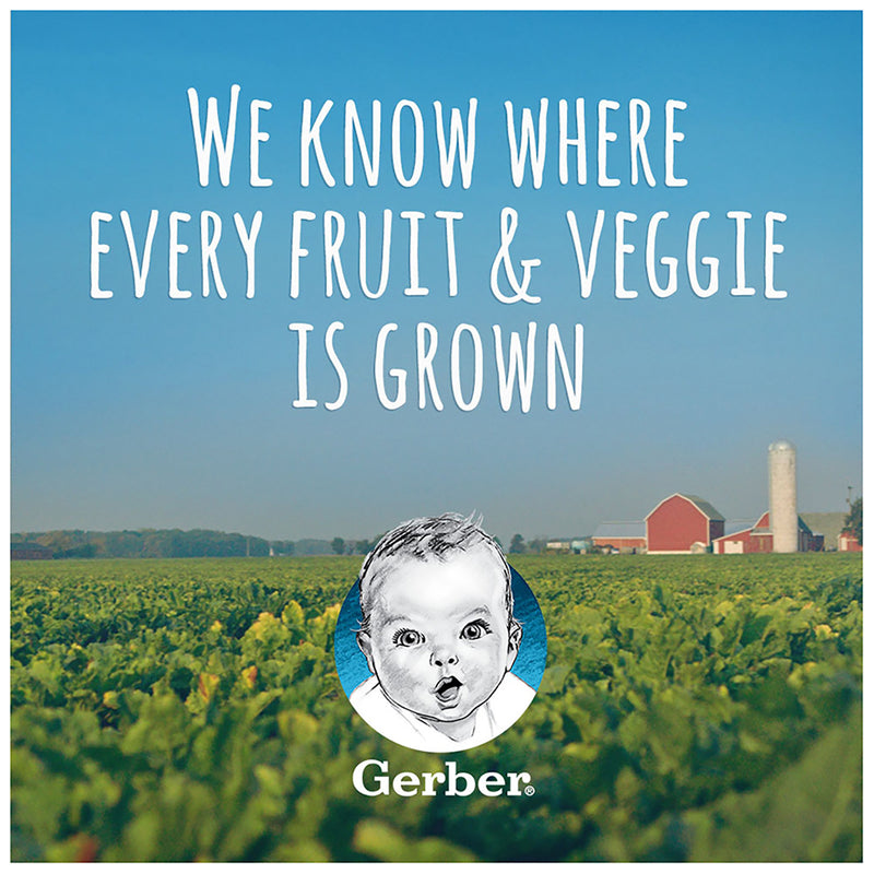 Gerber 1st Foods, Organic Apple, 4 OZ - Trustables