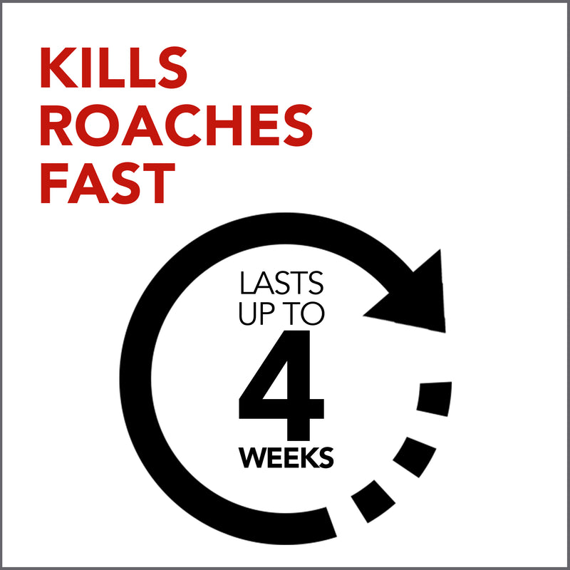 Raid Ant & Roach Killer 26, Lavender Scent, 12 oz - Trustables