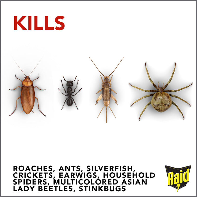 Raid Ant & Roach Killer 26, Fragrance Free, 17.5 oz, 2 ct - Trustables