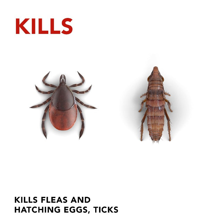 Kills Fleas and hatching eggs and ticks, Spray that kills ticks, spray that kills fleas, spray that kills flea hatchlings
