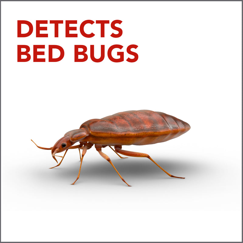 Raid Bed Bug Detector & Trap, 8 ct - Trustables