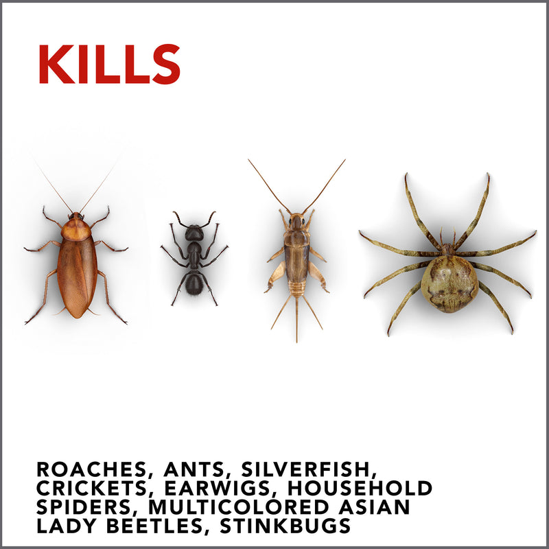 Raid Ant & Roach Killer 26, Lavender Scent, 17.5 oz - Trustables
