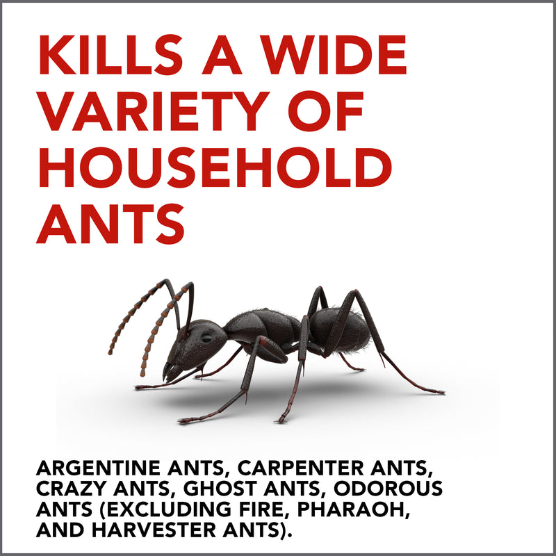 Raid Ant Gel, 1.06 Oz (1 Ct) - Trustables